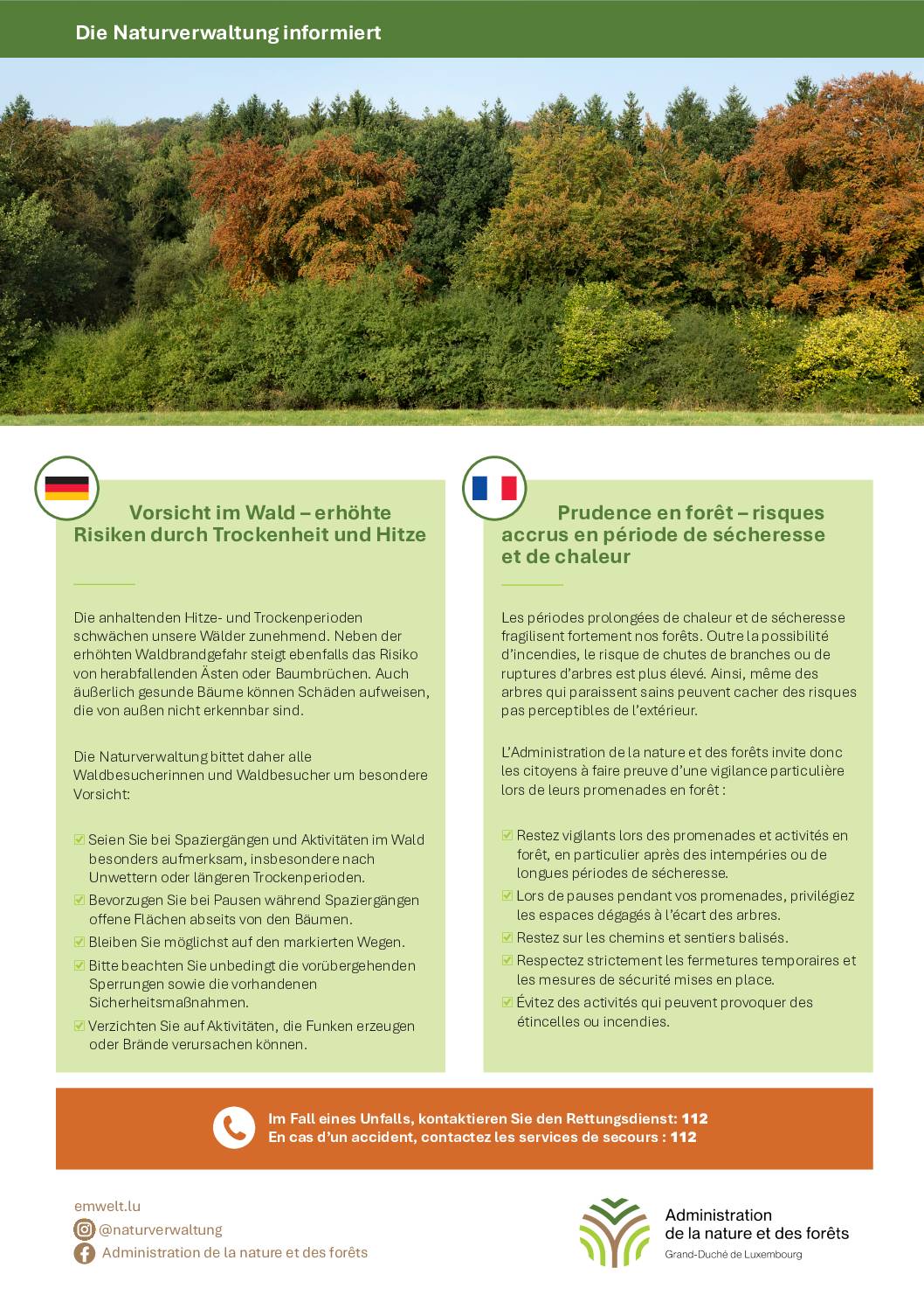 Prudence en forêt