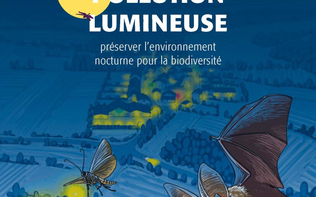 pollution-lumineuse-GDL