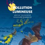 pollution-lumineuse-GDL