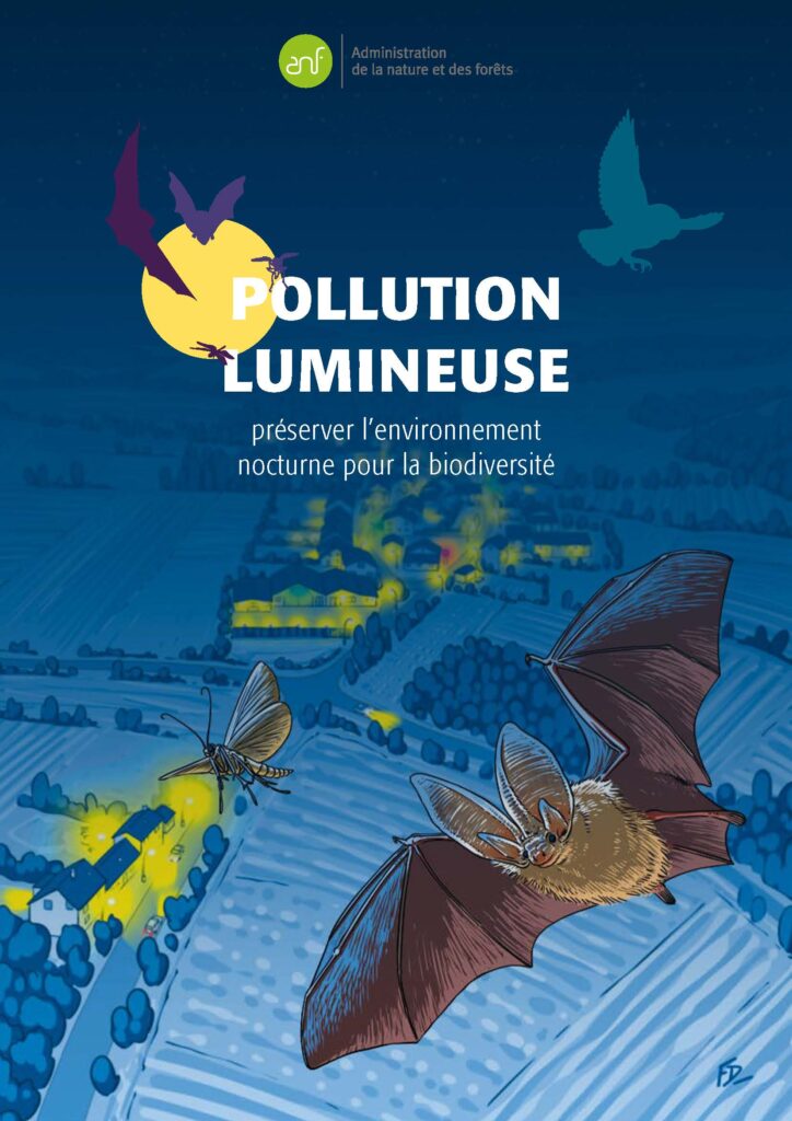 pollution-lumineuse-GDL