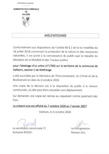 Avis d'affichage abattage 1 arbre 2026-001955
